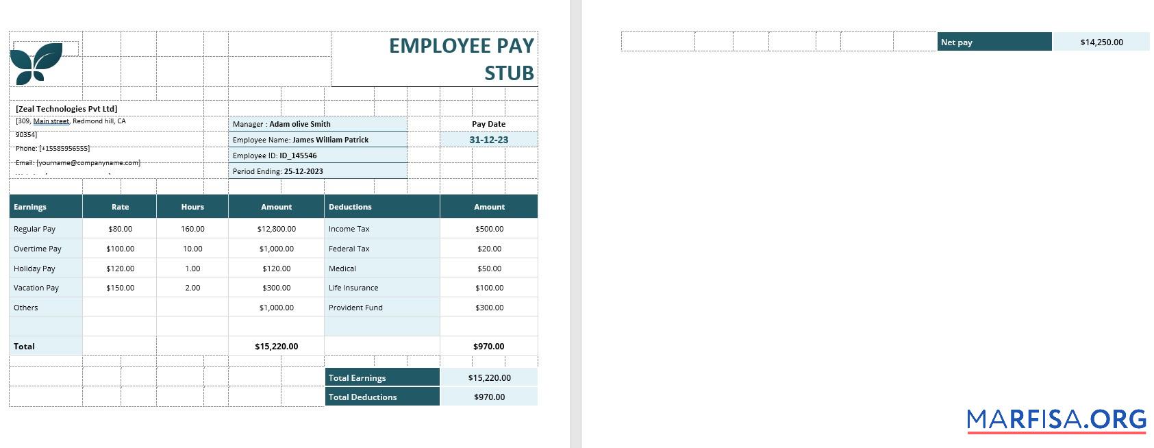 Printable Employee Pay Stub download for verification